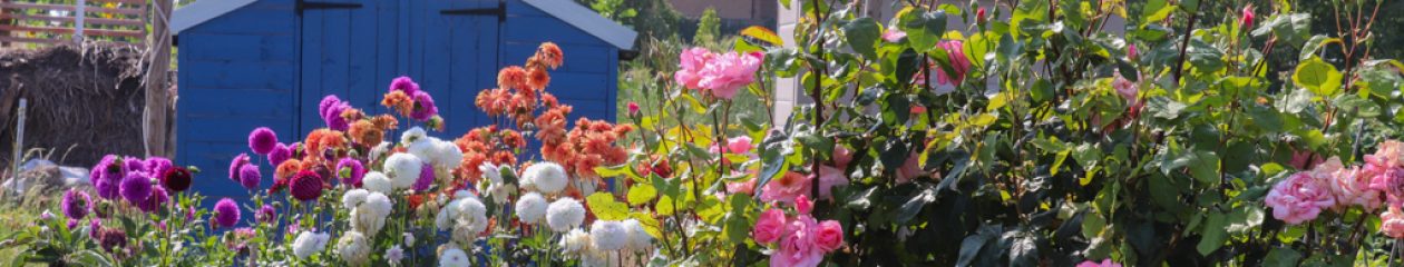 Leighton Linslade Allotment Association 